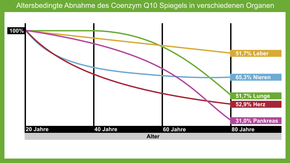 Altersbedingte Abnahme des Coenzym Q10 Spiegels in verschiedenen Organen